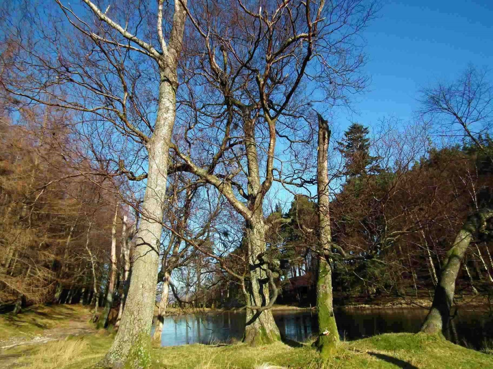 Ullswater