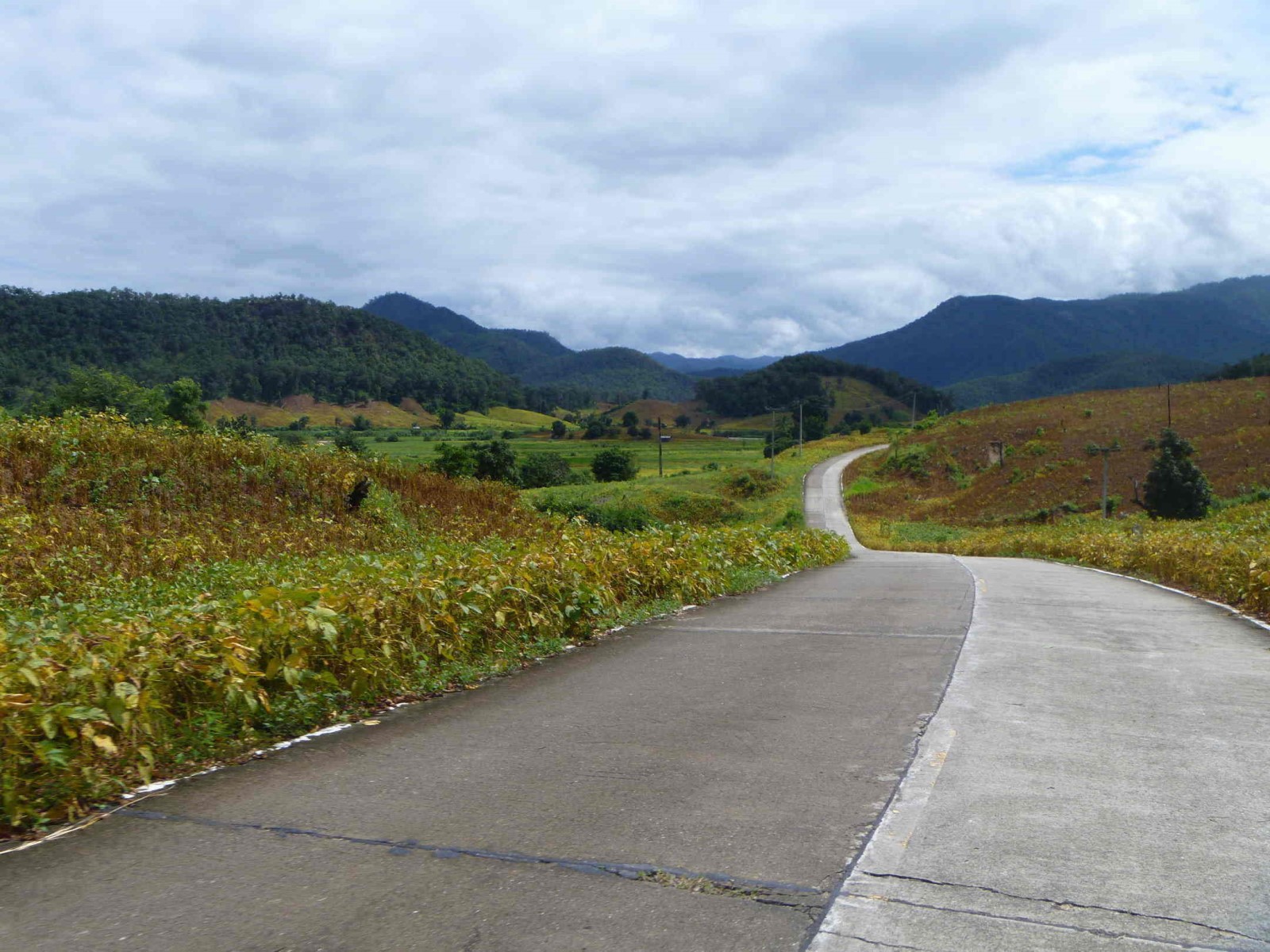 Winding Road