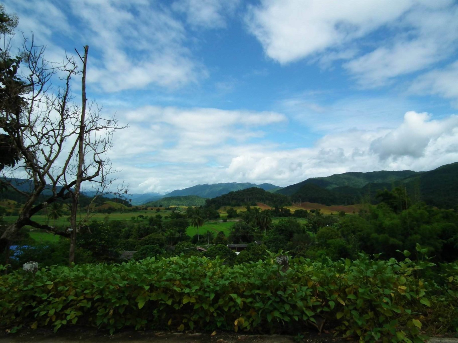 Scenic Pai