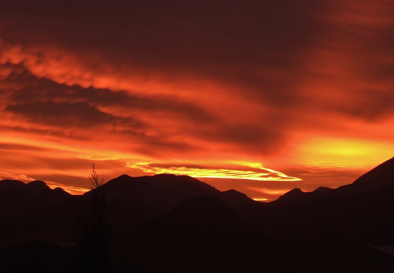 Red Sky 