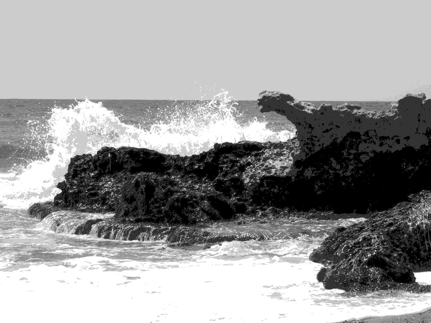 Roaring Ocean