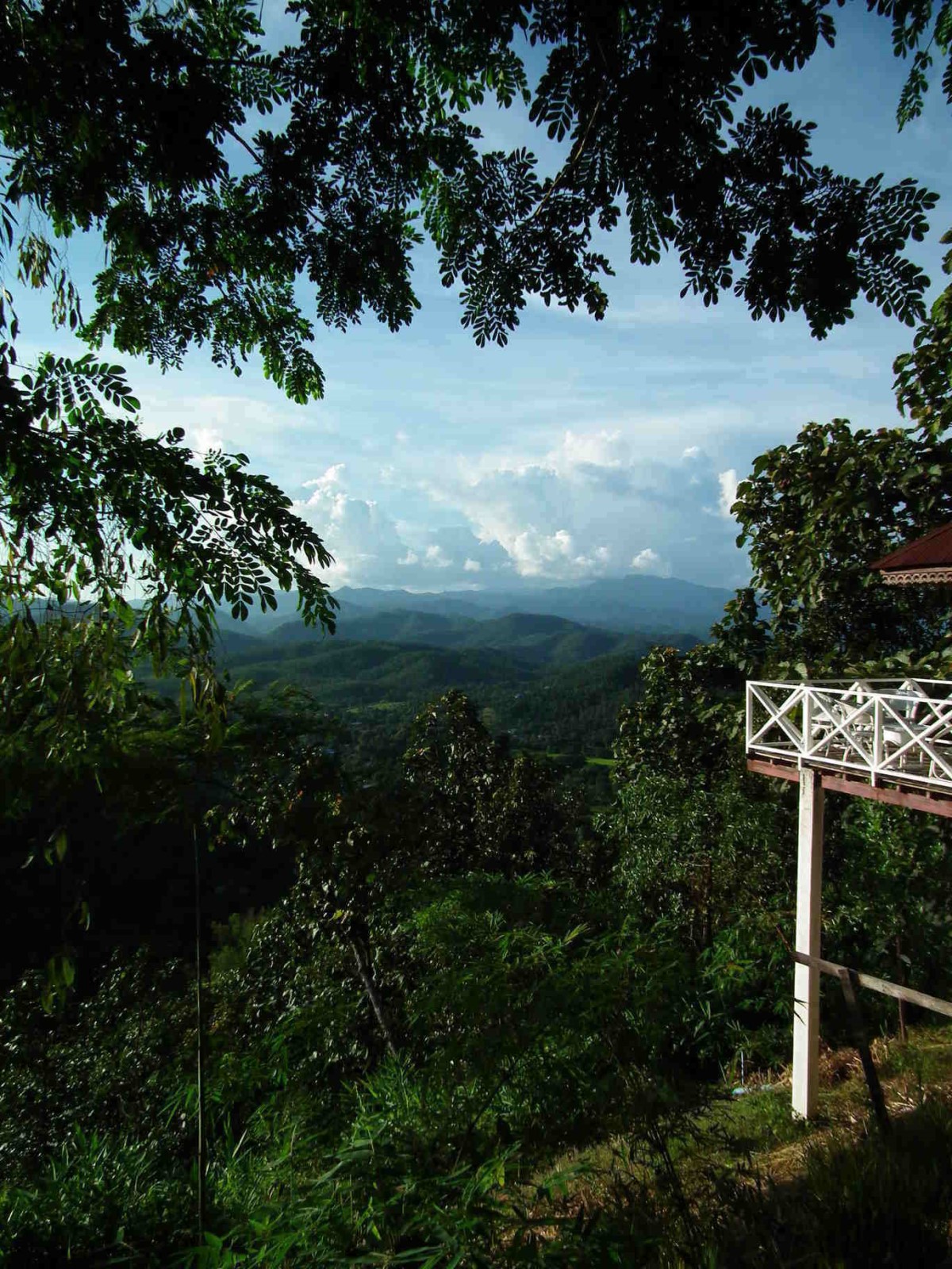 Terraced View