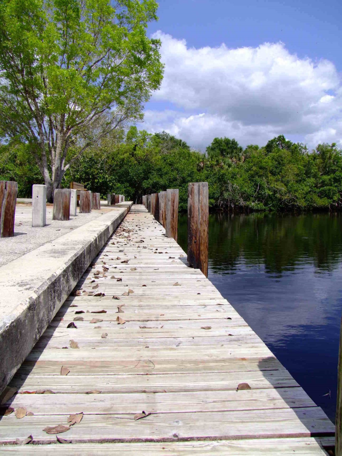 Boat Boardwalk
