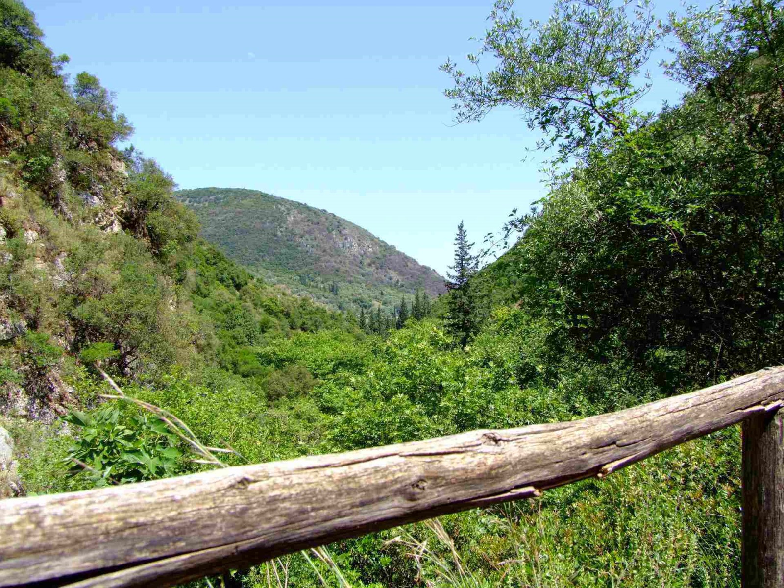 Mountain Scenes