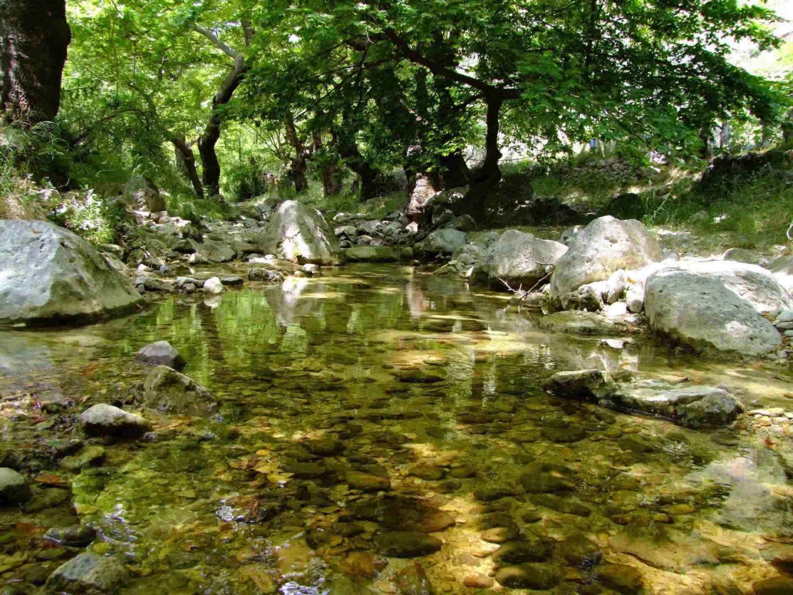 Sounds Of Water
