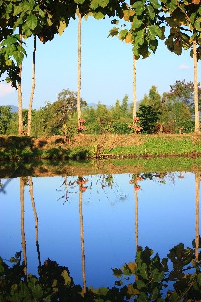 Reflections