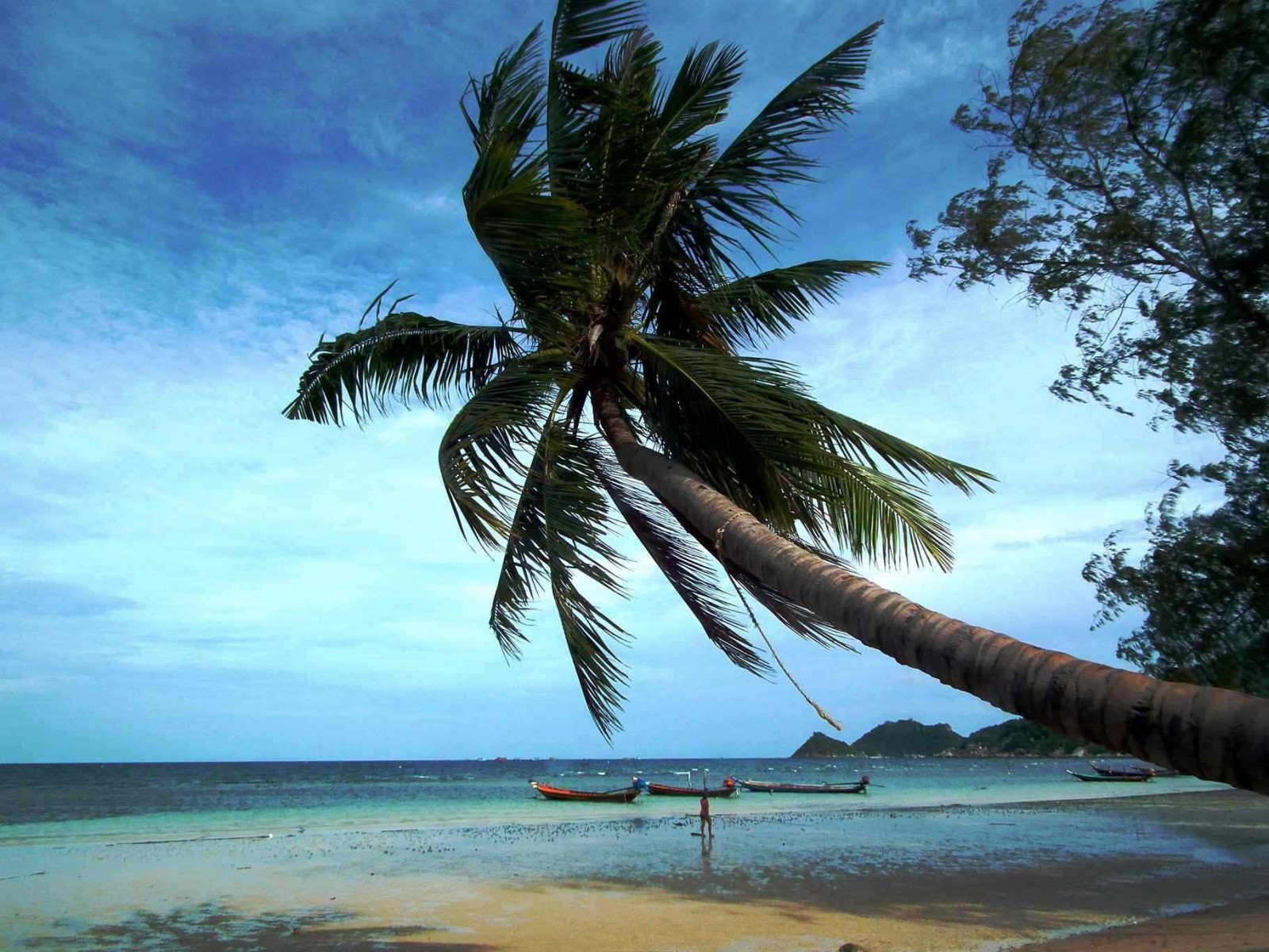Paradise Beach