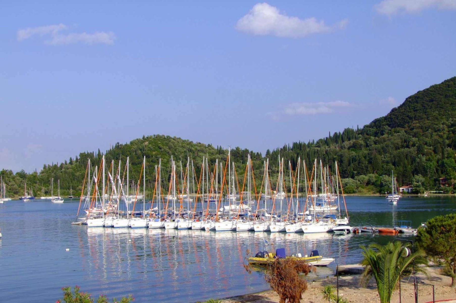 Harbour View