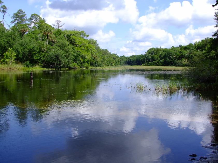 Ocklawaha River