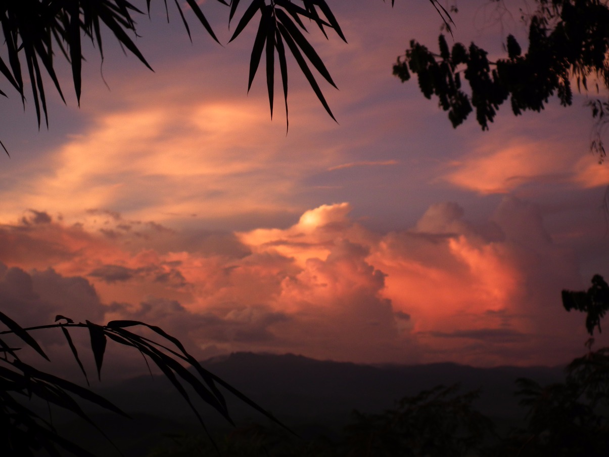 Sunset Dream