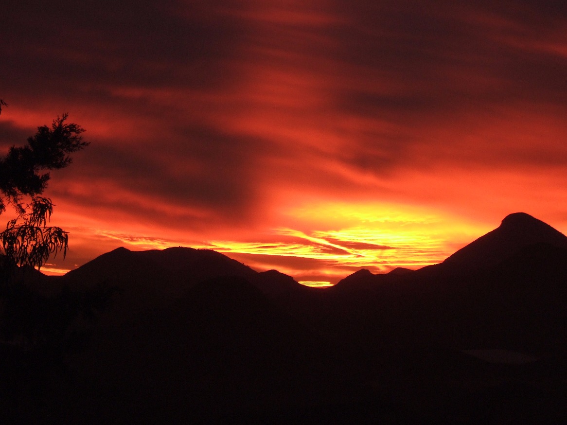 Fire sunset
