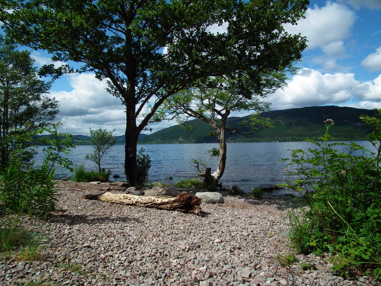 By The Lake