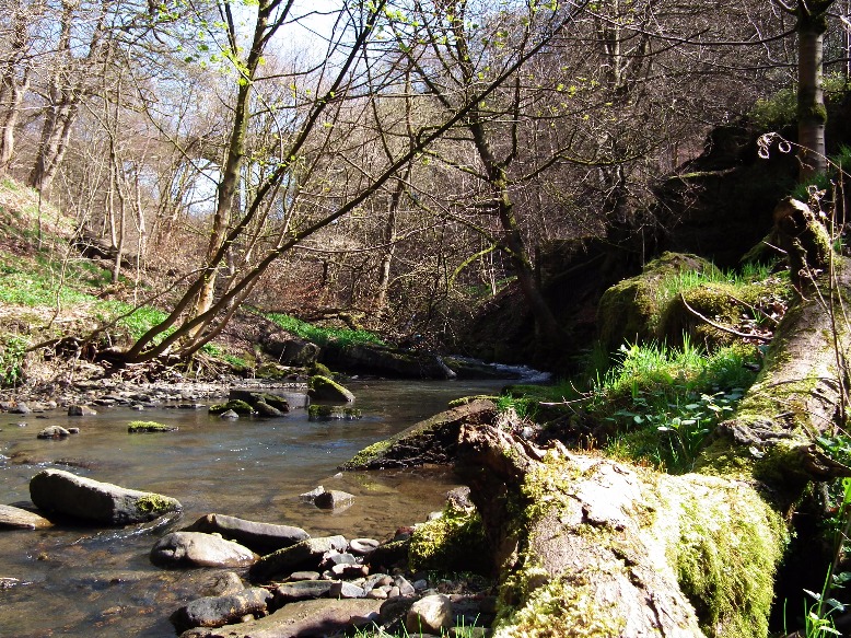 Relax By The Stream