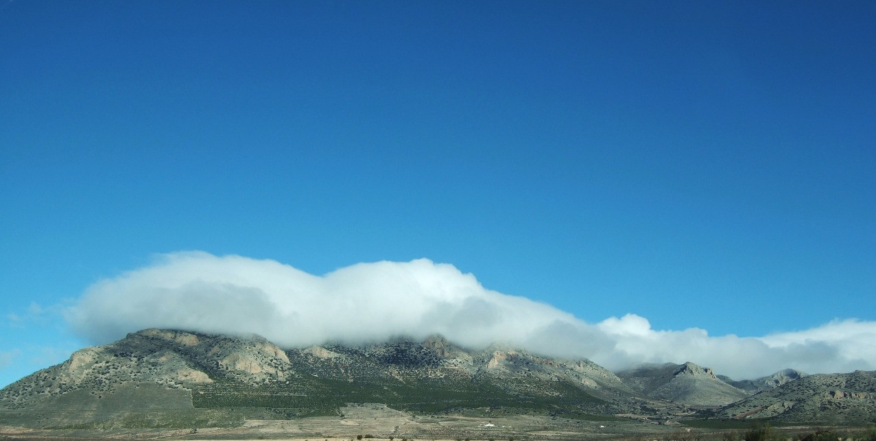 Low clouds
