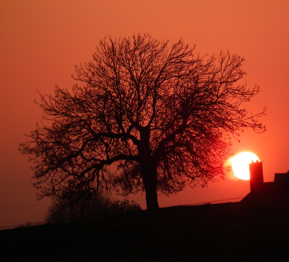 Orange sunset