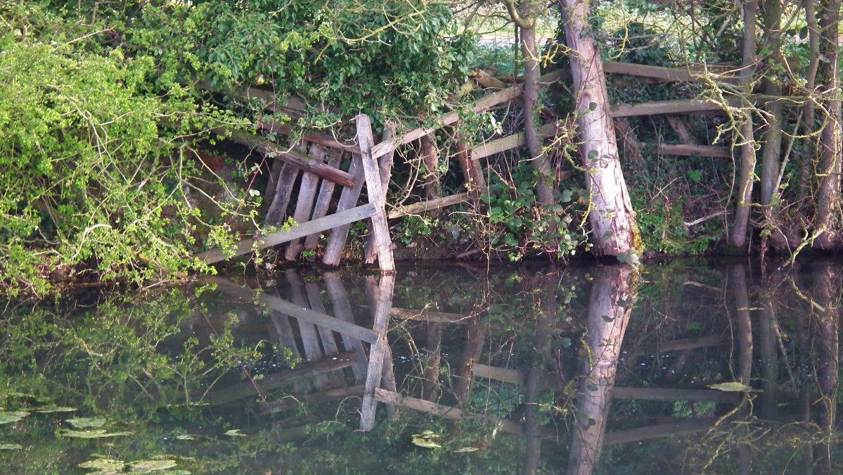 Reflections