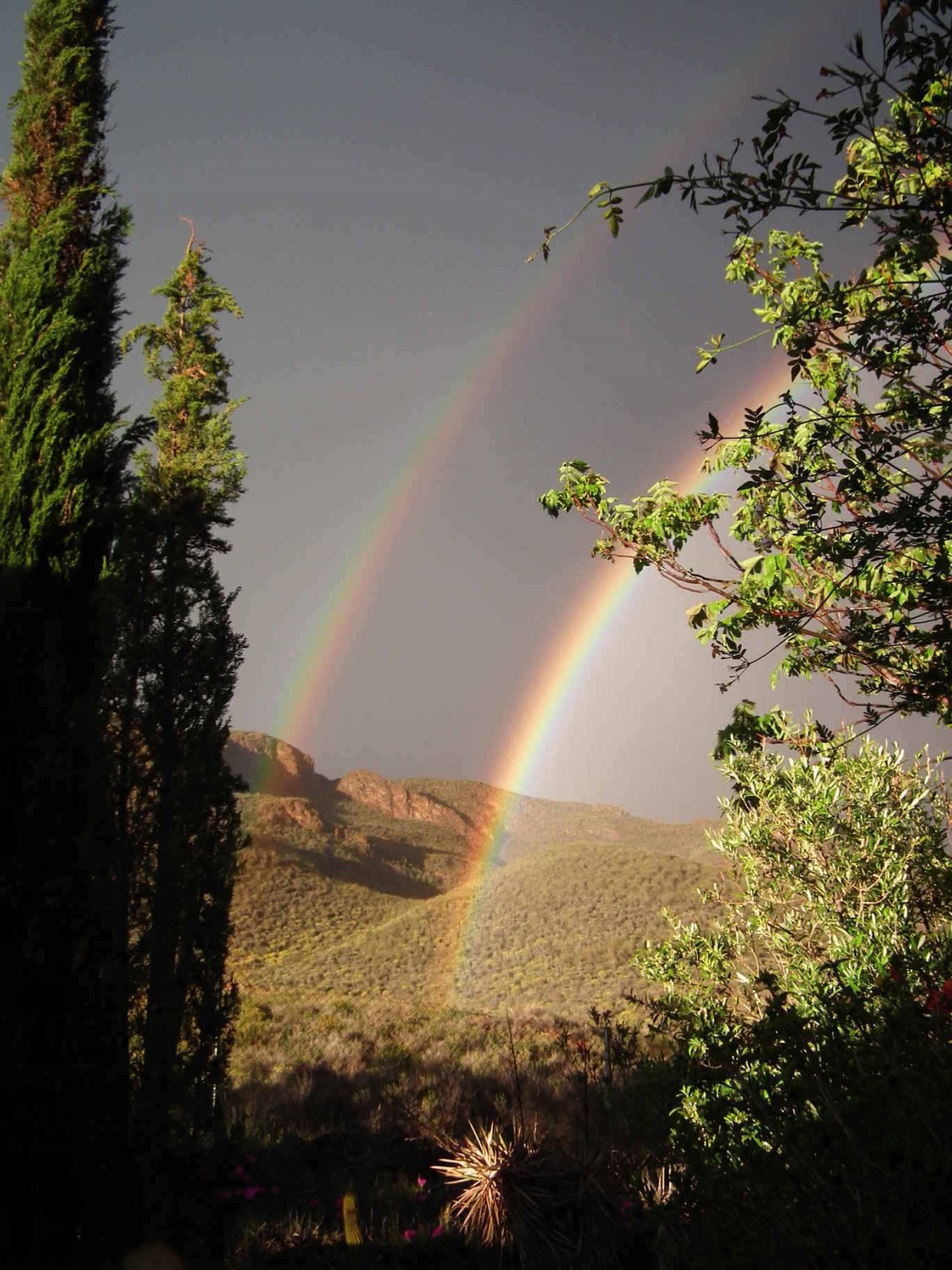 Double Rainbow