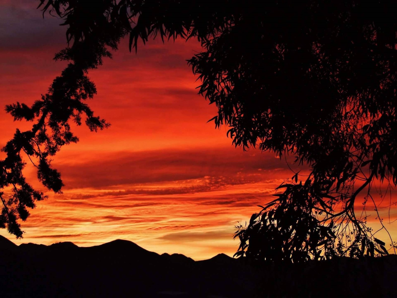 Red sky Sunset