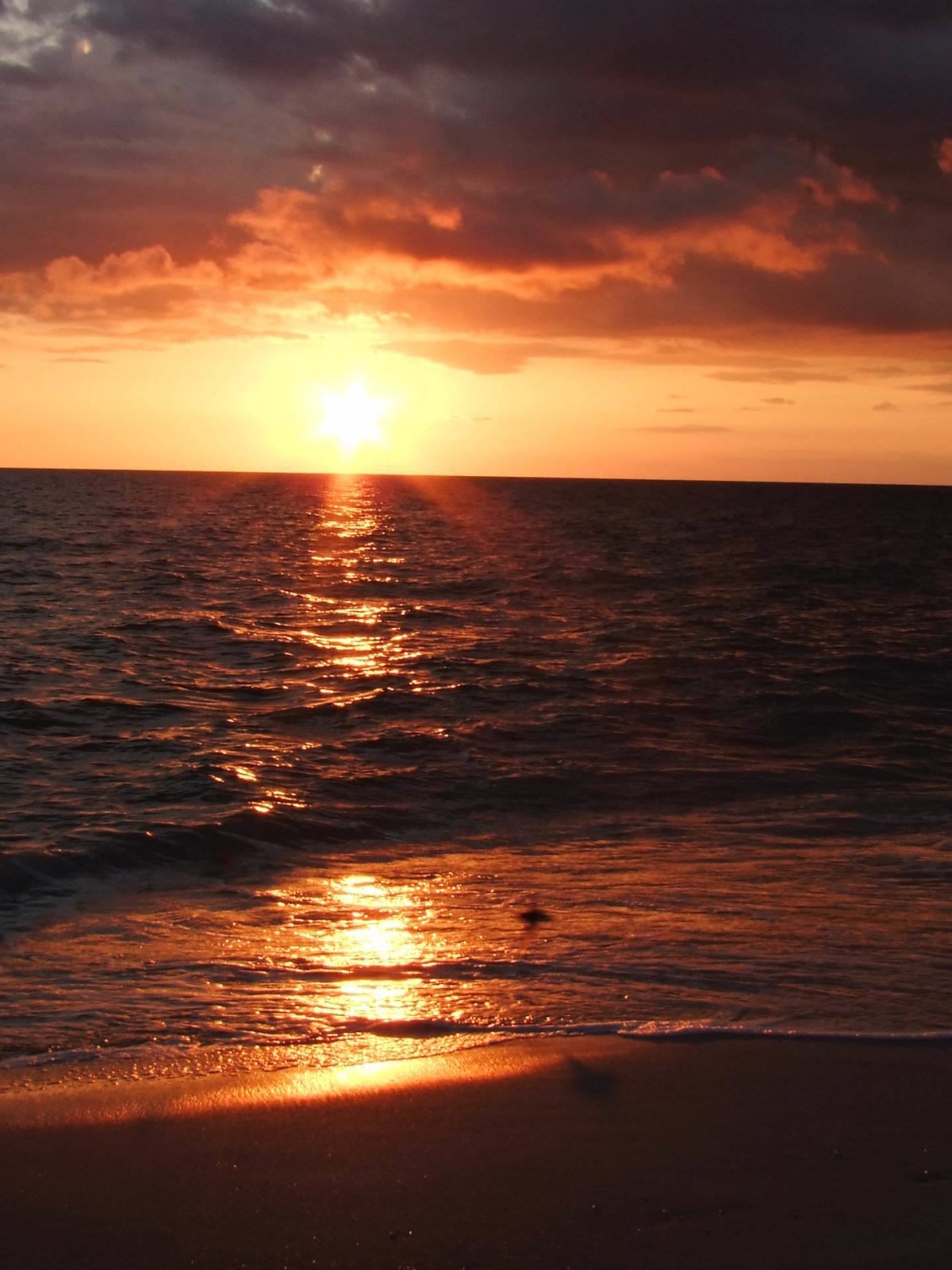 Summer Sunset