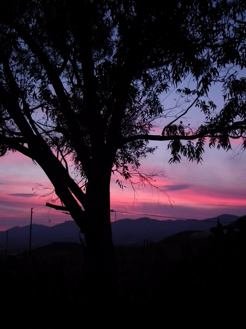 Colours Of The Sunset