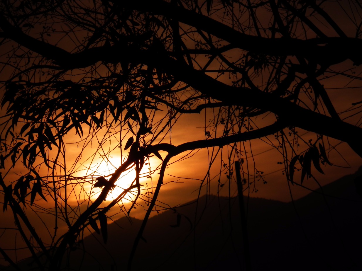 Tranquil Light