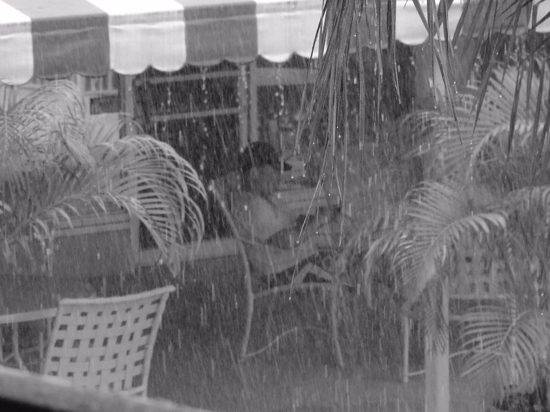 Heavy Rain Fall