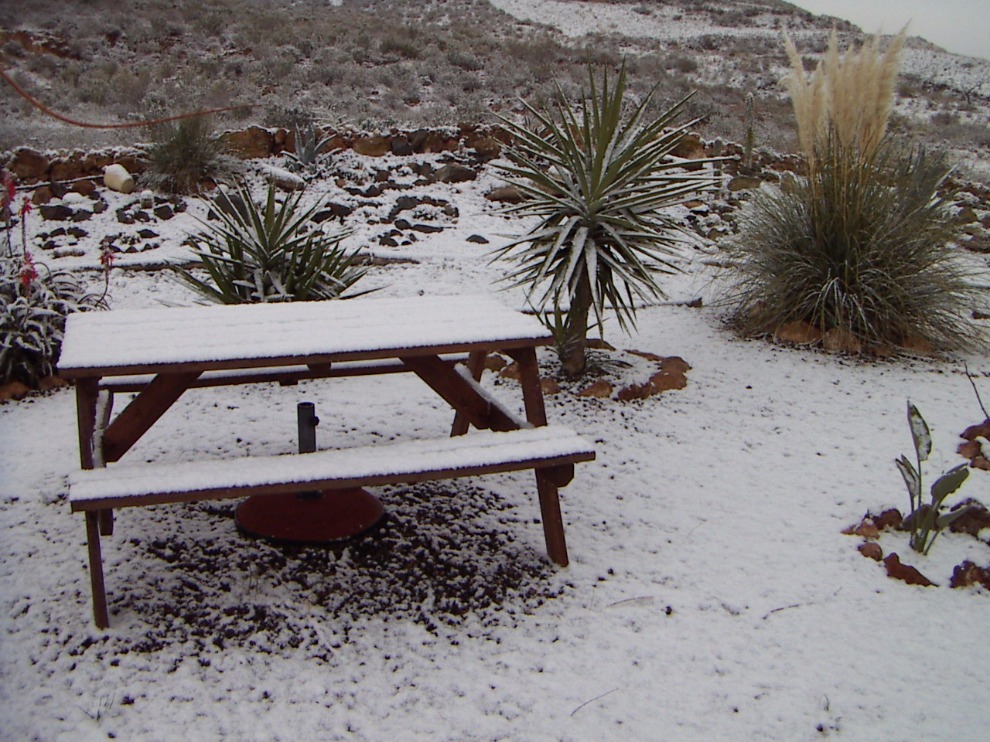 Alfresco In The Snow