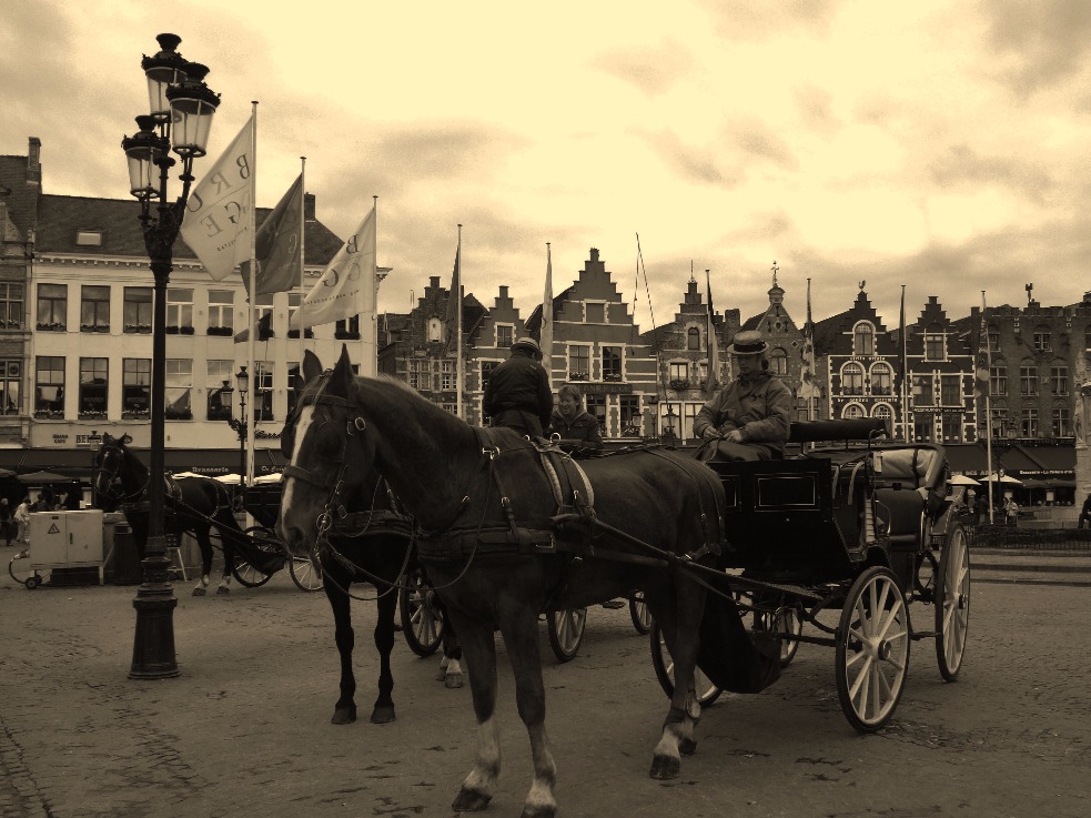 Horse Drawn Carriage
