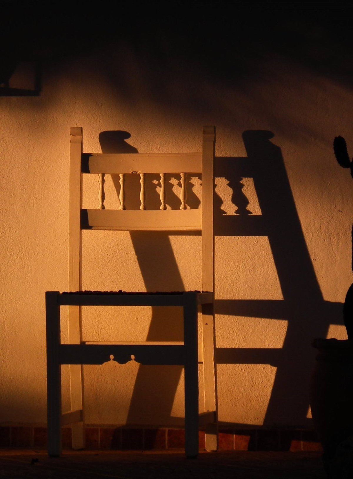 Evening Shadows