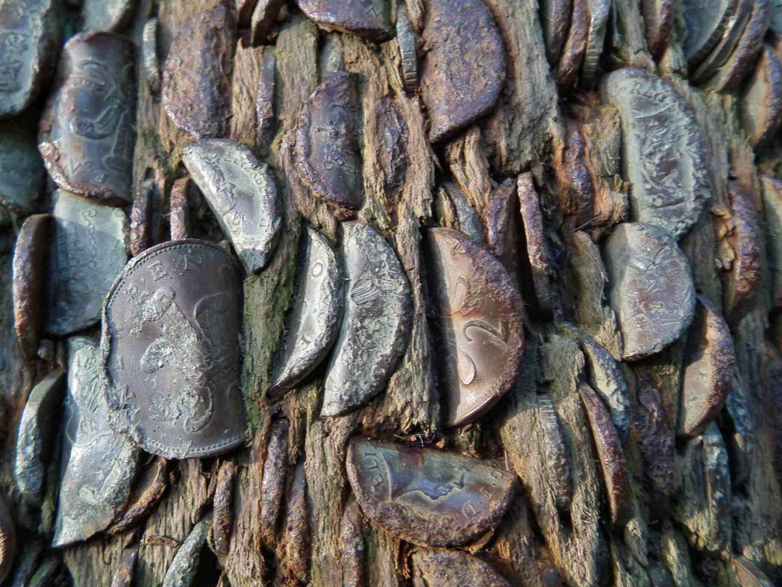 Aira Force Money Tree