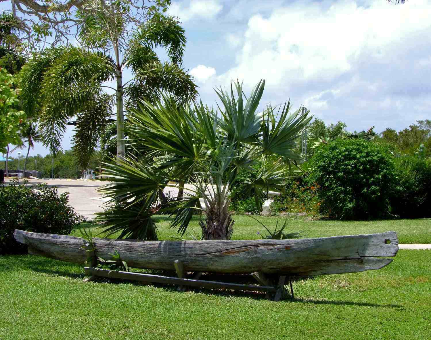 Native American Canoe