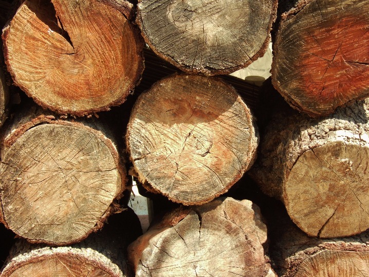 Wood Drying