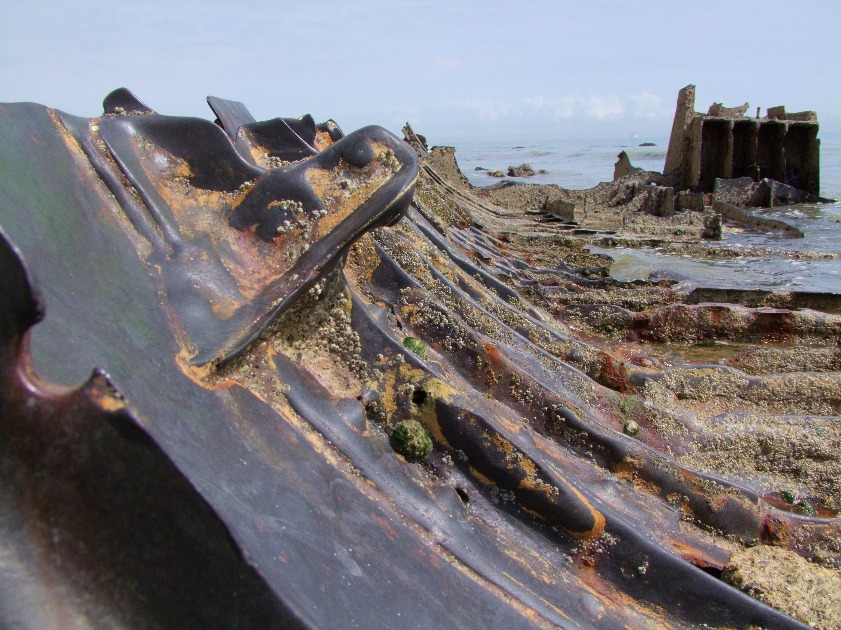 Shipwreck SS Falcon