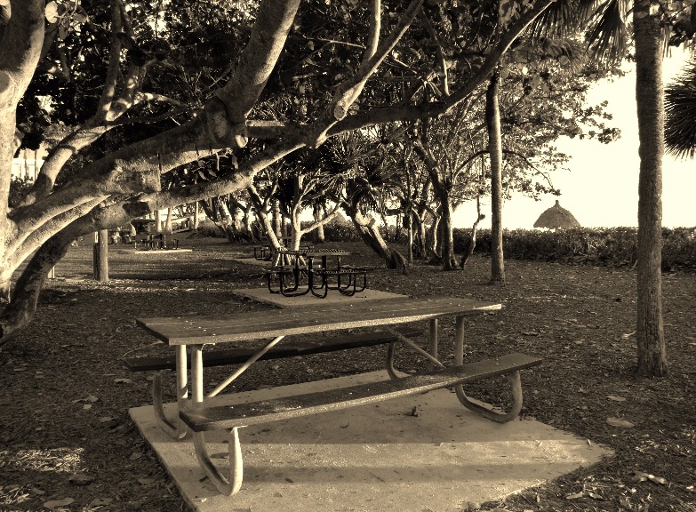 Picnic Bench