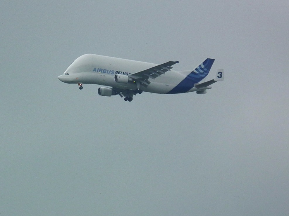Airbus Beluga 3