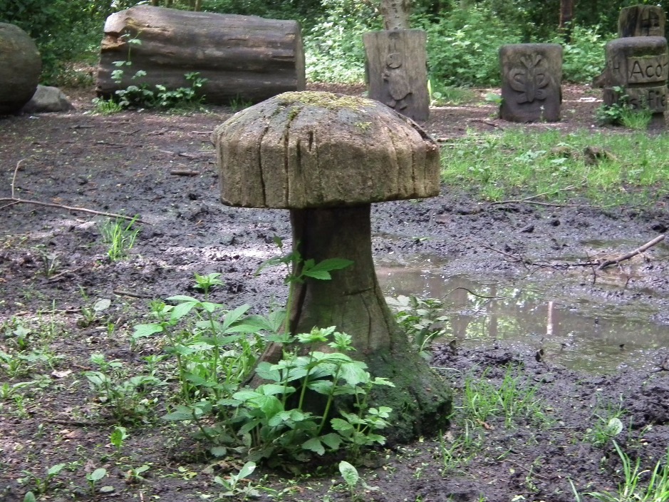 Wooden Toadstool