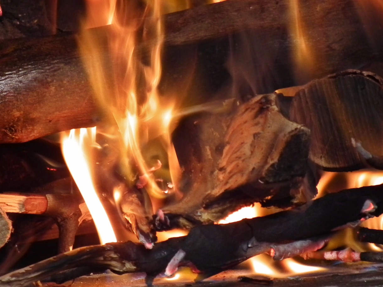 Burning Logs