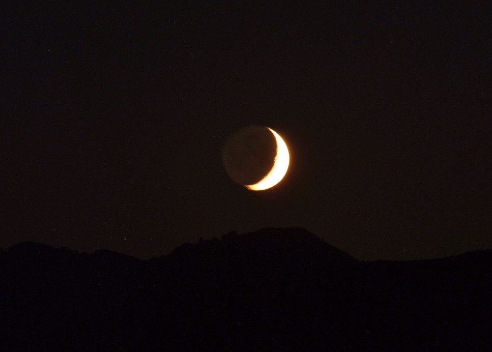 Good Night Moon