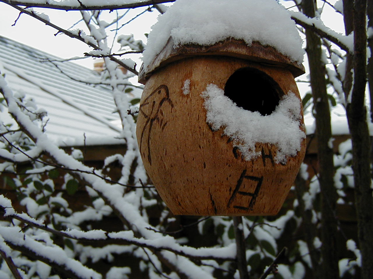 Bird House