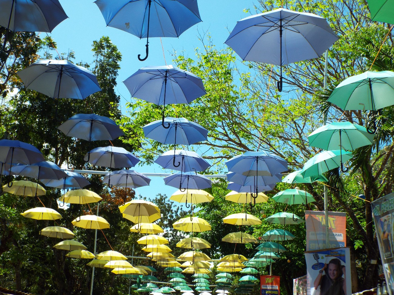Umbrellas