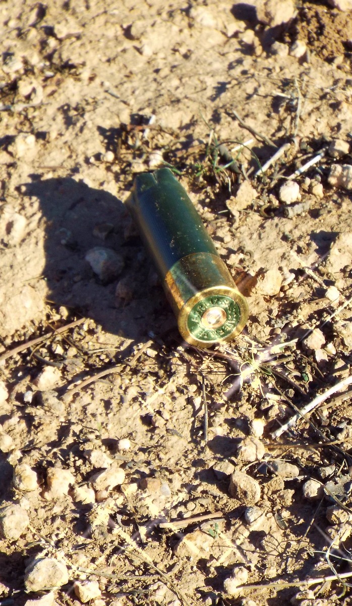 Used Gun Cartridge
