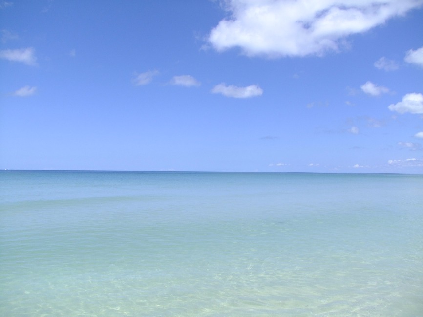 Blues Of Summer