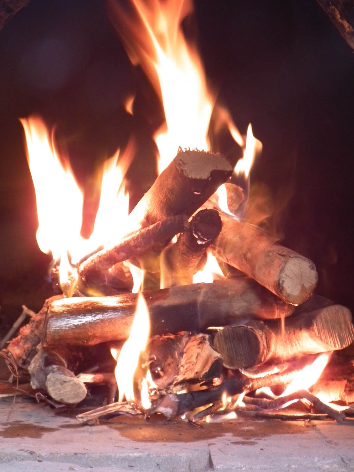 Crackling Logs