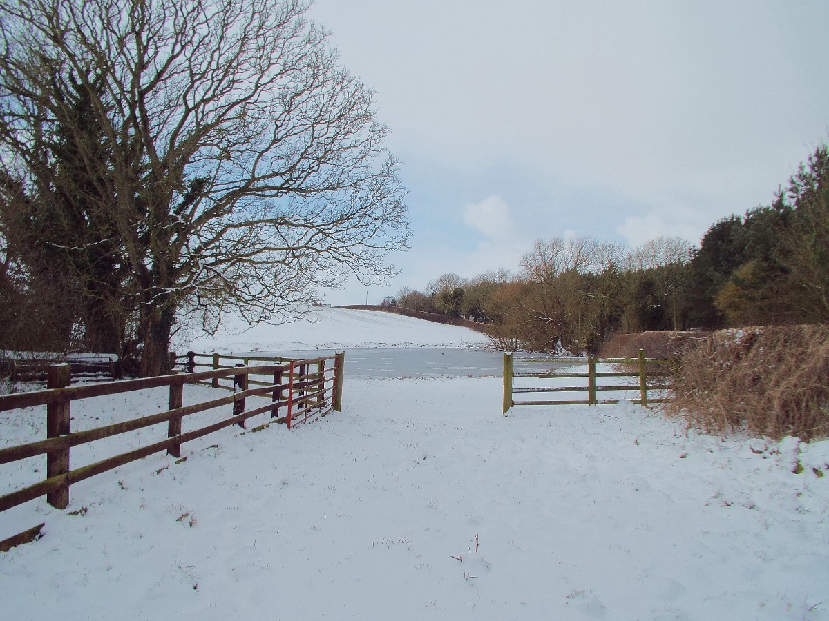Snow Day