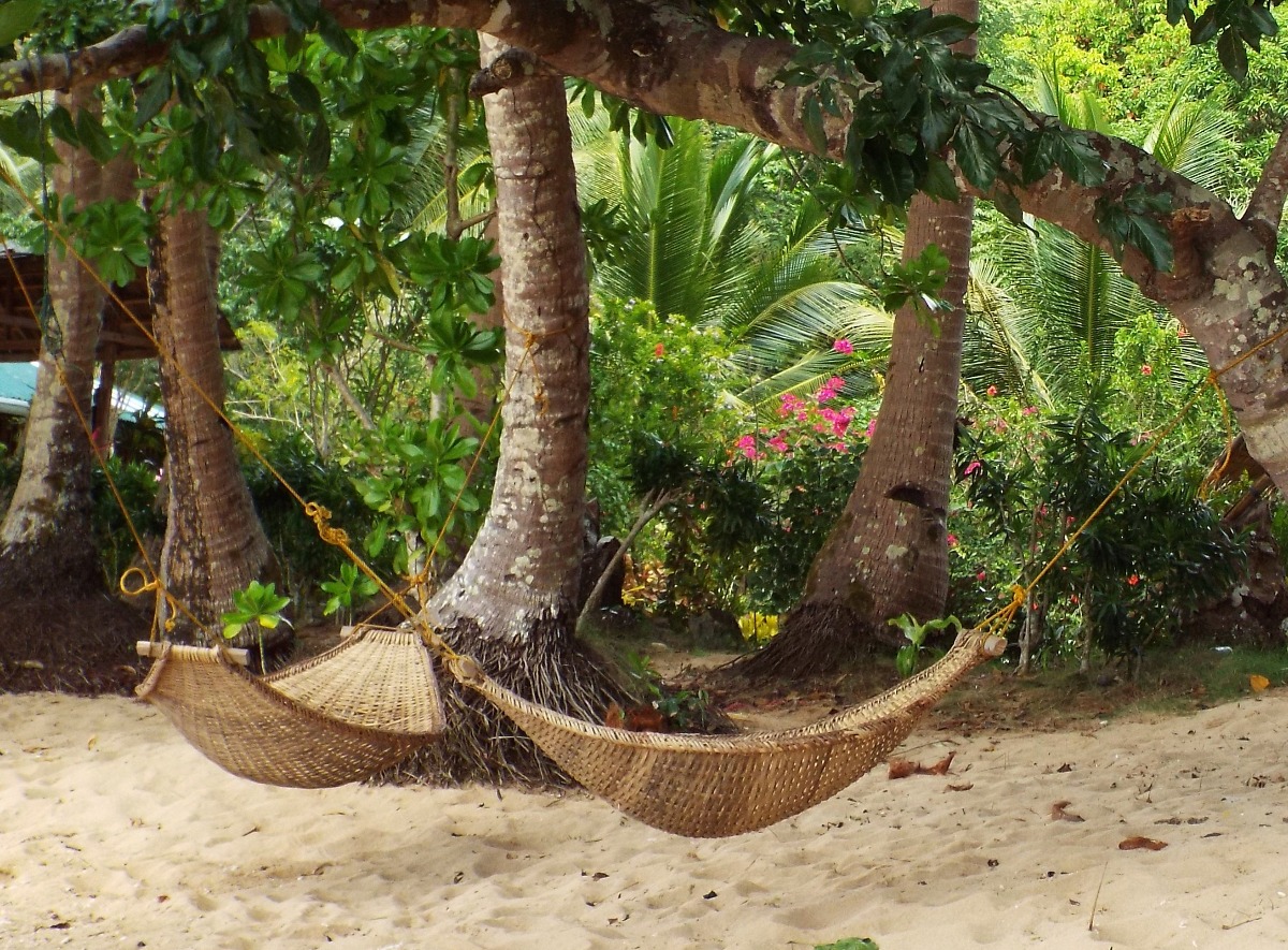 Hammock Time