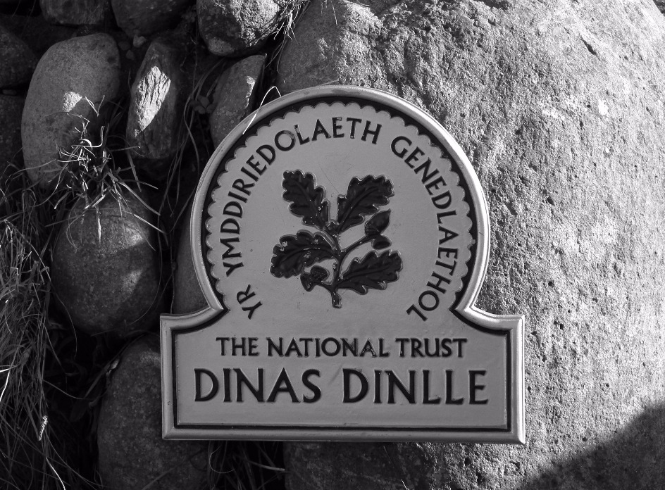 Dinas Dinille