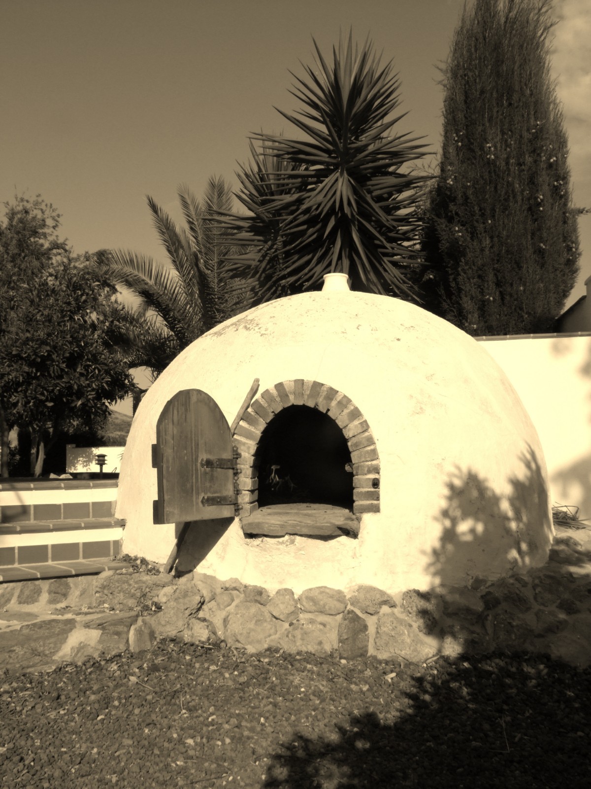 Horno oven