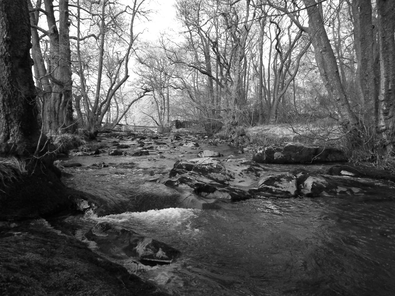 Trickling stream