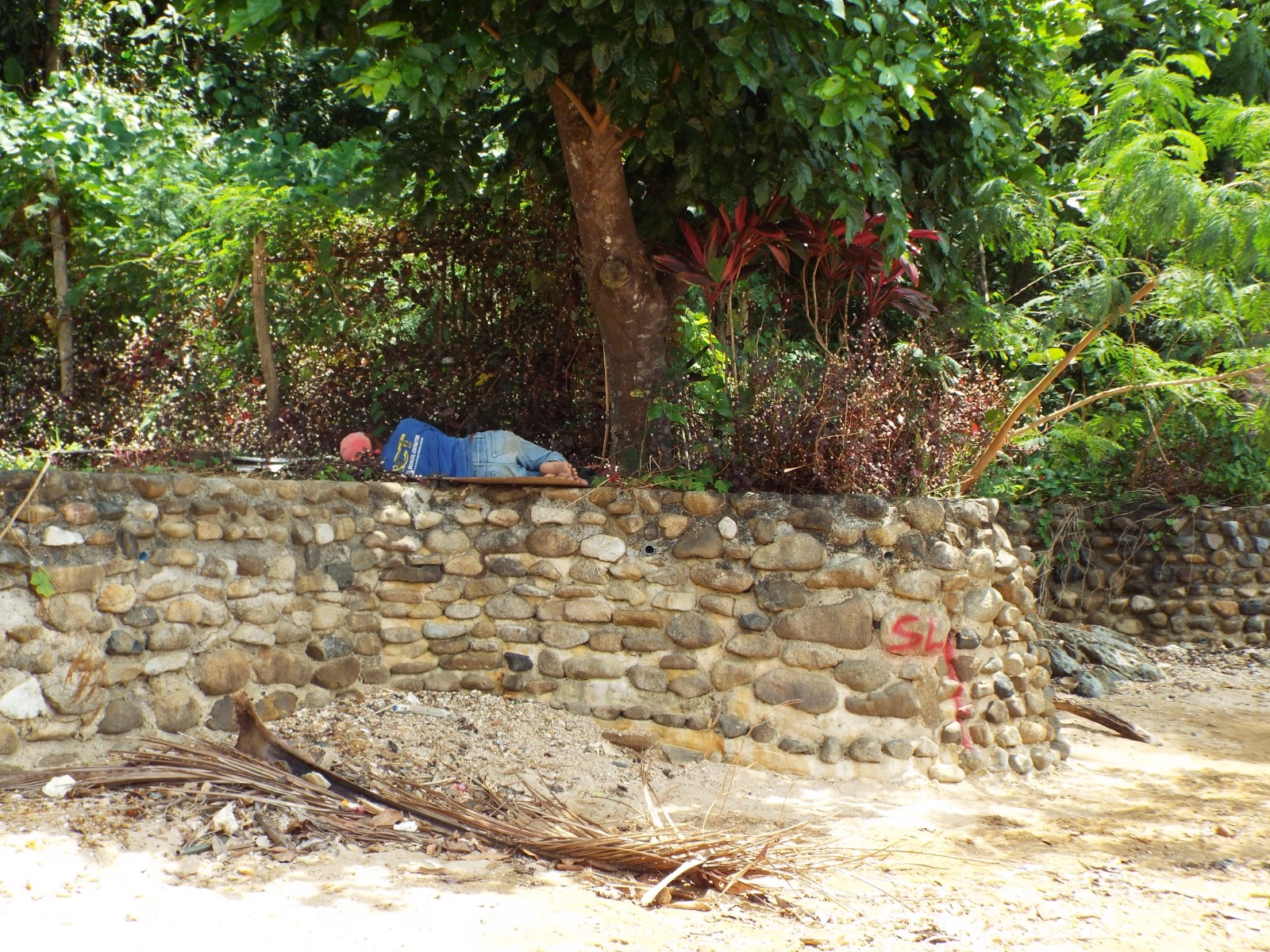 Siesta time