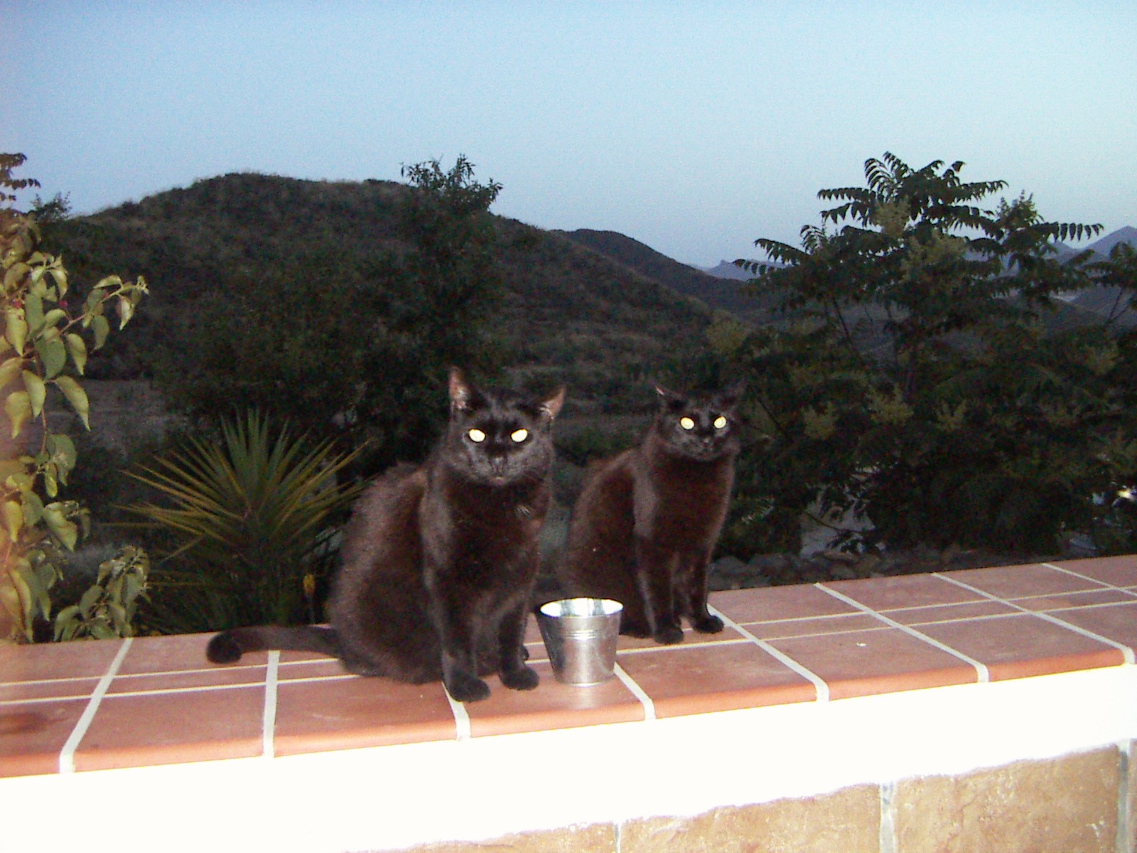 How gorgeous are we?